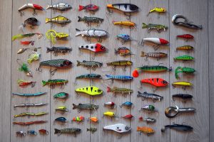 An Overview Of Fishing Equipment Coverage